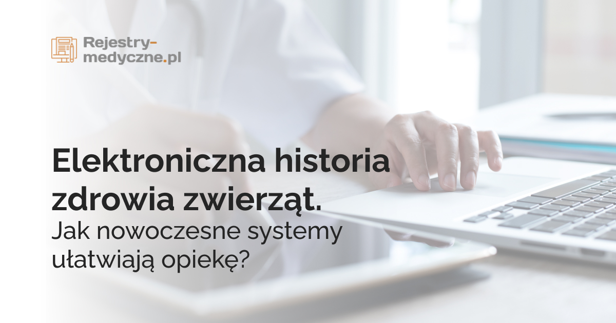 Elektroniczna historia zdrowia zwierząt. Jak nowoczesne systemy ułatwiają opiekę?